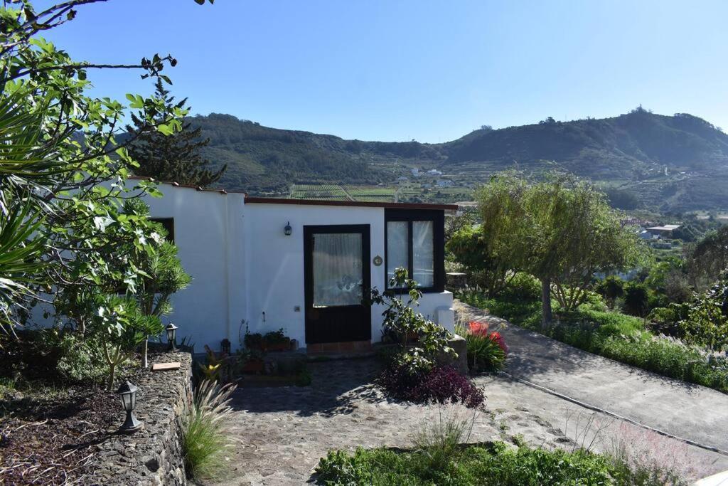 Casita De La Montana De Maria Hébergement de vacances Tegueste